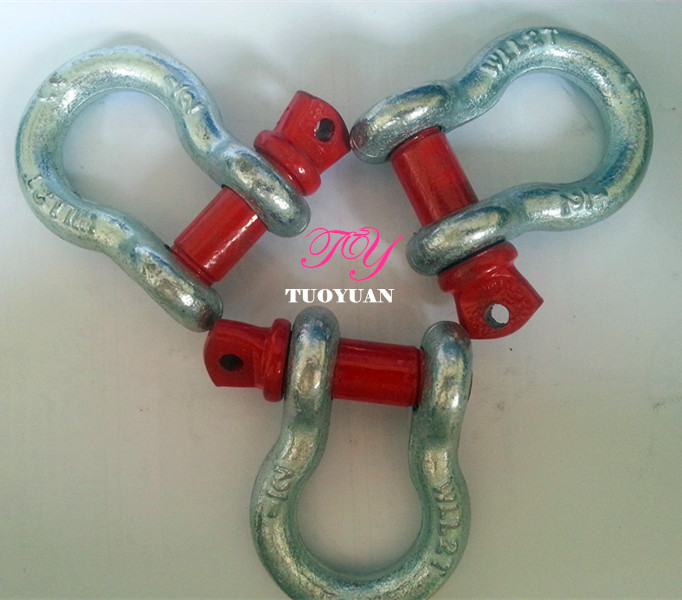 All Kind of Drop Forged Anchor Shackle