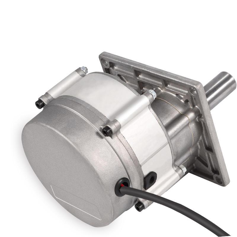 High Torquer DC Brushless Motor |Moom Barrier Motor