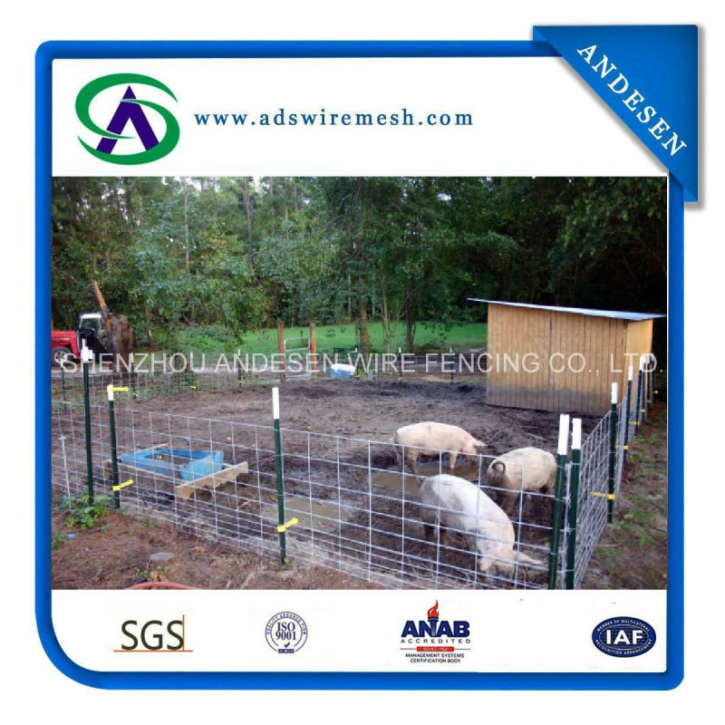 Factory Direct Sell Hog Panels/Feedlot Panels/Livestock Panels