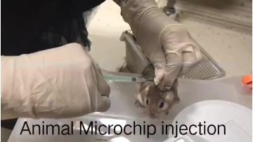 RFID Animal ID Bio-glass Tag Cow Cat Livestock Syringe Transponder Micro Chip Implant Pet Microchips1