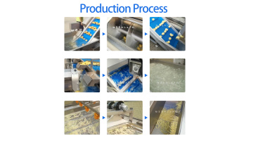 Root Vegetable Production Line 