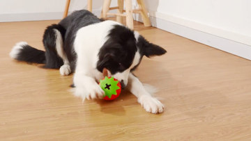 Strawberry DOG CHEW PET TOY