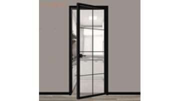 Newtition Wall Sliding Double Temper Hinged Door Frosted Glass Narrow Aluminium Frame Door Graphic Design Modern CN;GUA ODICK1