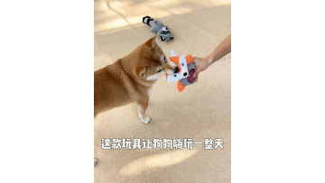 Pet sound toy Dog