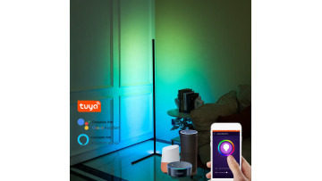 Smart Tuya Floor Lamp