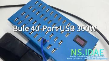 Bule 40-port usb 300W