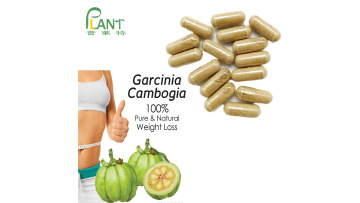 buy garcinia cambogia extract pure 