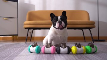 Interactive Dog Toys Dog Puzzle Toys for Small Dogs, Dog Balls for Medium Dogs, Treat Dispensing Dog Toys1