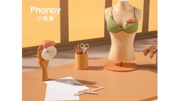 Yiqiao Wearable Breast Pump.mp4