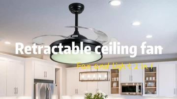 Black ceiling fan with light