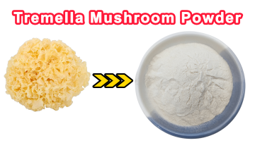 Tremella Mushroom Powder