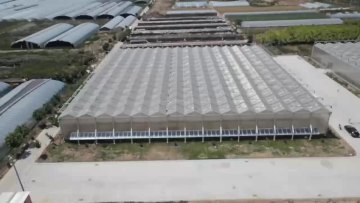 Polycarbonate Greenhouse Agricultural Greenhouses Factory price Multi-span Greenhouse with Hydroponic system1