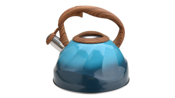 FH-430 dark blue stainless steel water kettle