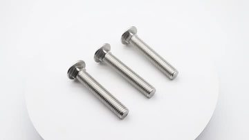 Stainless Steel Carriage Bolt