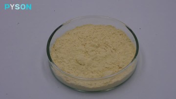 Ginger Root Extract Gingerols 3% HPLC 