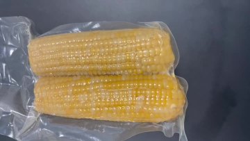 Double Packed Yellow Waxy Corn Cob