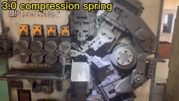 3.0 compression spring