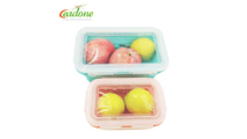 Silicone folding high temperature resistant refrigerator dishwasher lunch box1