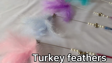 Colorful Turkey Feather And Tube Interactive Exercising Kitten Pet Play Toy Cat Stick1