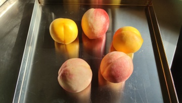 Freeze-Dried Peach