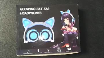 LX-L107 Cat ear headphone use.mp4