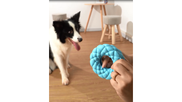 Educational Dog Rubber Toy