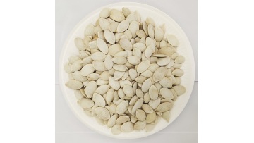 3601-high quality pumpkin seeds