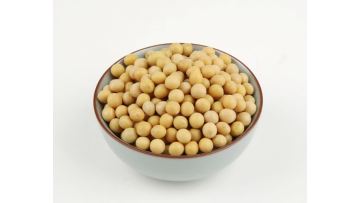 grain soybean