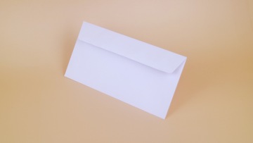 DL White Gummed Wallet Envelope