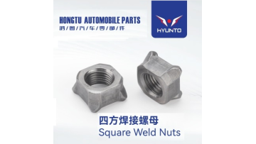 Hongtu Factory  Nuts 