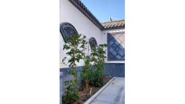 Flower relief fan shaped bamboo