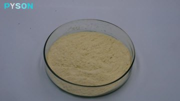 Korean ginseng extract powder