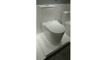 Ceramic One Piece Toilet 