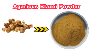 Agaricus Blazei Extract