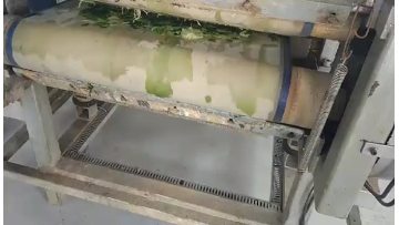 belt press filter for veg drying