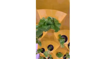 Hydroponic tower