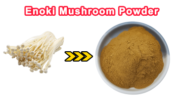 Enoki Mushroom Powder
