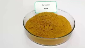 Curcumin 95% Extract