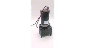 12DC MOTOR