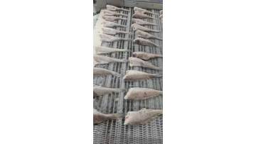 Impingement tunnel freezer for fish