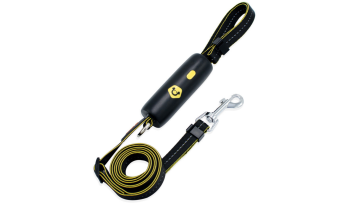 smart dog leash