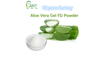 aloe vera extract