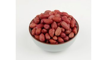 Peanut groundnut