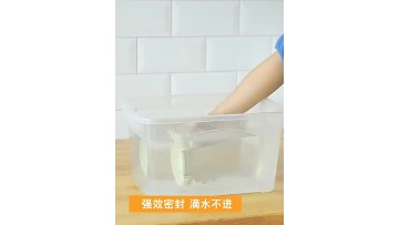 food storage box