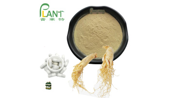 panax Ginseng Extract root Powder