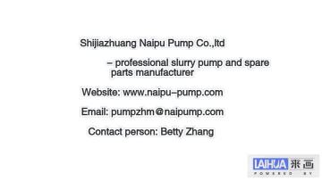 Naipu slurry pump.mp4