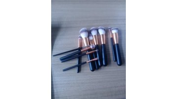 11pcs makeup brush set