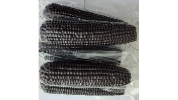 5601 black corn cobs