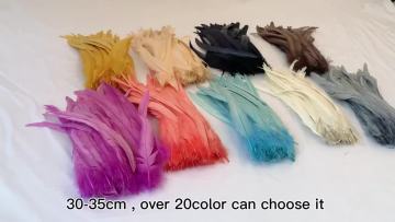 Wholesale Dyed Coque Tails Feather Long Feathers Rooster Feathers For Sale1