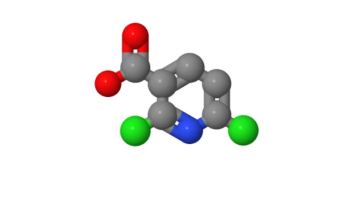 2,6-Dichloronicotinic acid